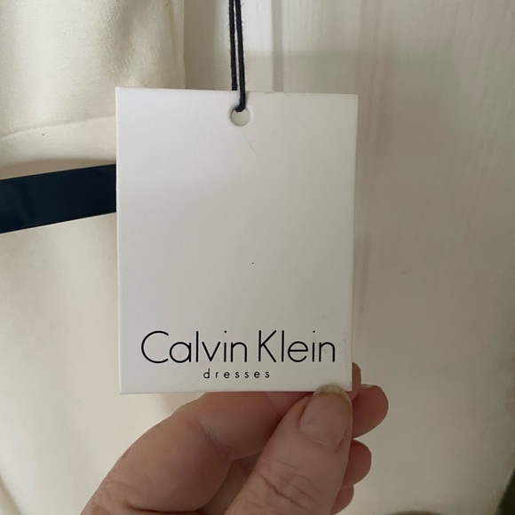 Ivory Calvin Klein Lady dress size 10 NWT - Picture 6 of 8